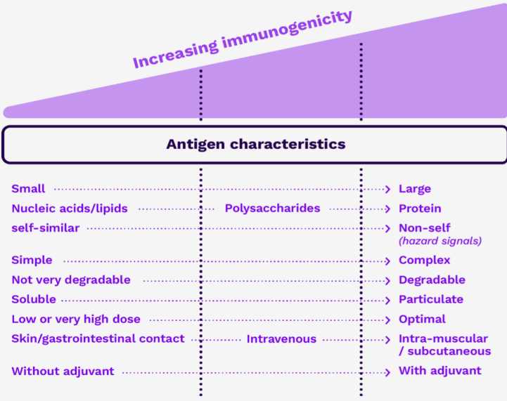 antigen char